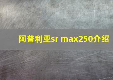 阿普利亚sr max250介绍